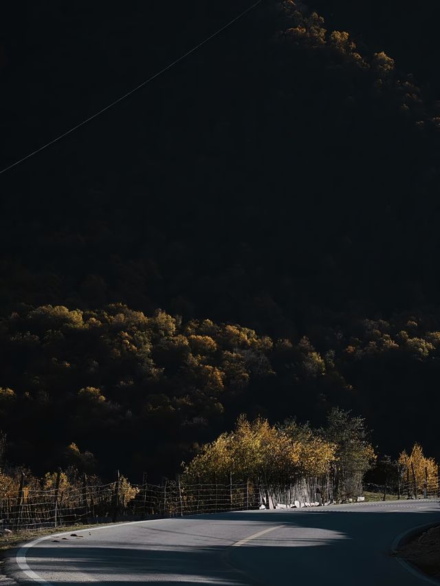 川西秋日封神！每一幀都像闖進油畫裡