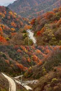 留壩紅葉打卡攻略