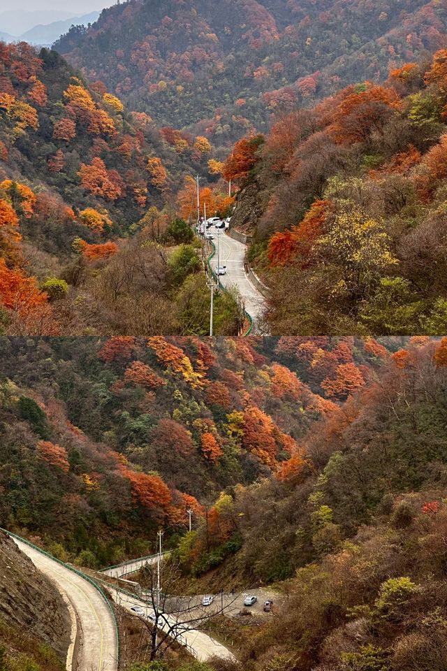 留壩紅葉打卡攻略