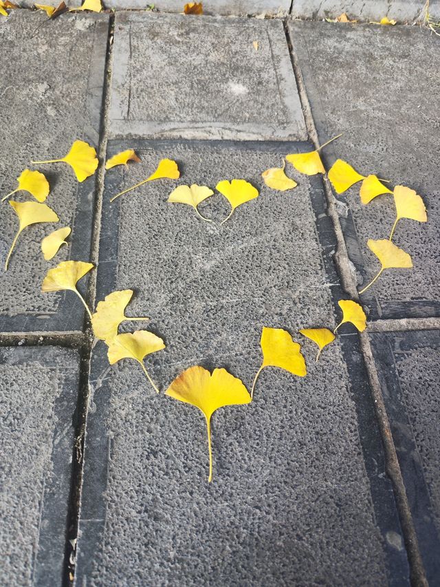 街區銀杏打卡地恩施州文化中心 街區銀杏打卡地恩施州文化中心