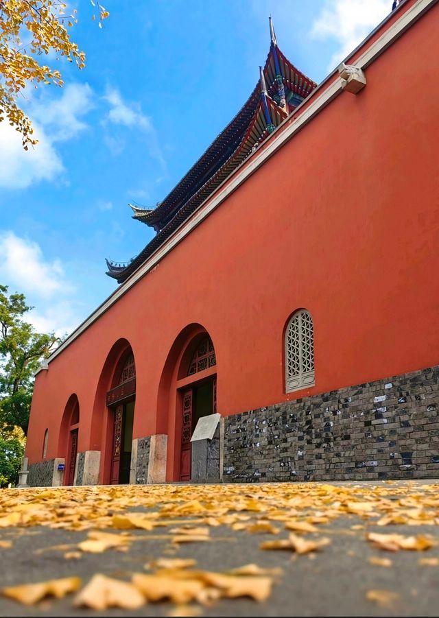 故宮同款銀杏紅牆南京版鼓樓公園