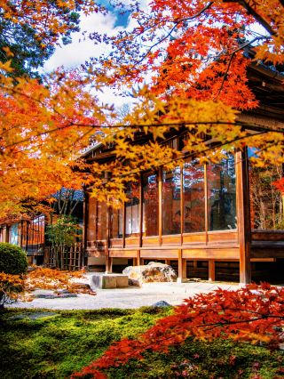 Autumn Foliage Season Hidden Gem Courtyard