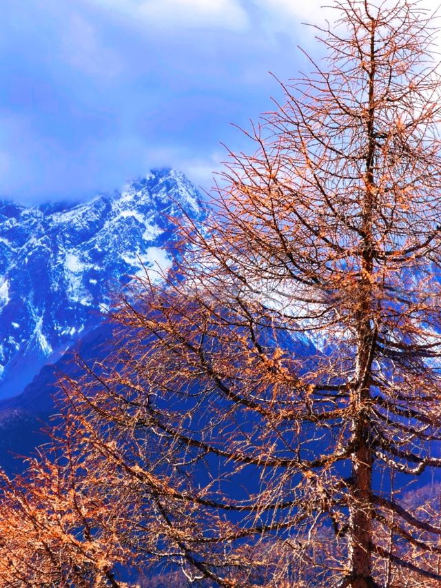 梅里雪山朝聖之旅全攻略