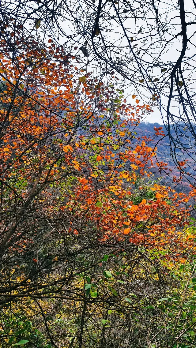 金龍峽徒步｜秦嶺秘境｜人少景美｜新手天堂