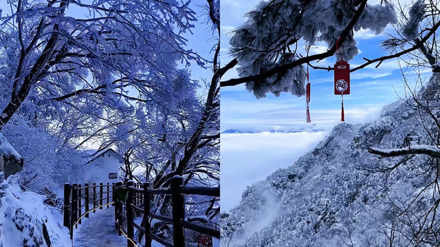 洛陽一地4日遊超全避坑攻略來啦 洛陽一地4日遊超全避坑攻略來啦