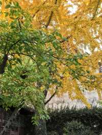 在鹽官,遇見江南最絢爛的深秋