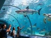 🇭🇰Budget 3 Days in Hong Kong: Fun Without Breaking the Bank!