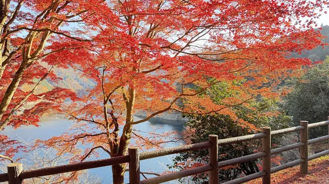 東京秋日限定-奧多摩湖紅葉秘境攻略