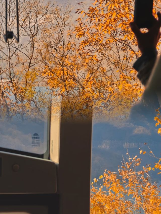 雲台山秋日天花板！私藏小眾機位大公開