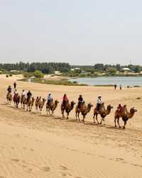 沙漠看海奇幻旅|一半沙漠一半湖的塞北秘境
