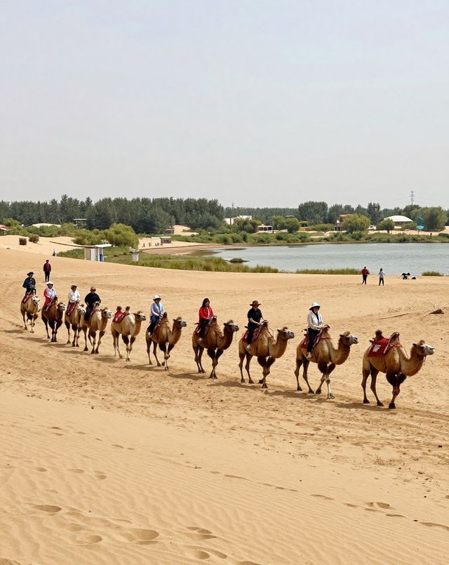 沙漠看海奇幻旅|一半沙漠一半湖的塞北秘境 沙漠看海奇幻旅|一半沙漠一半湖的塞北秘境