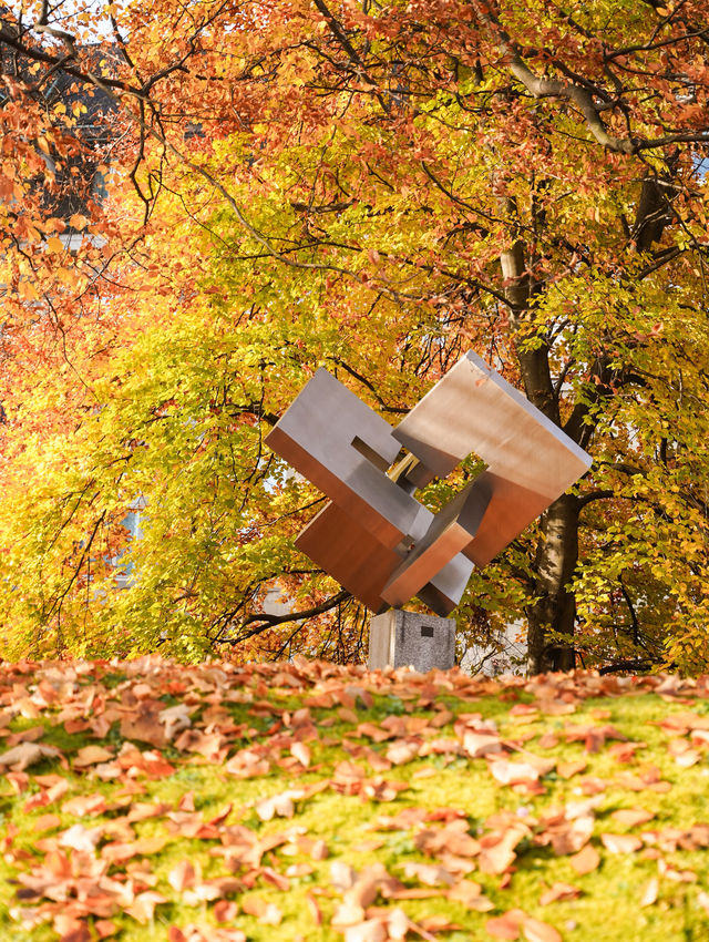 我宣佈，蘇黎世的秋日已封神!citywalk路線