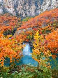 無門票!無停車費!景色絕美!不愧上過央視!