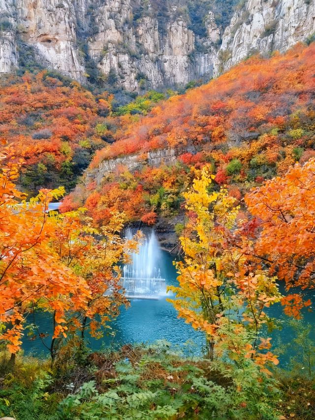 無門票!無停車費!景色絕美!不愧上過央視! 無門票!無停車費!景色絕美!不愧上過央視!