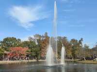 上海共青森林公園|秋日限定浪漫被我發現了