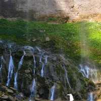 德夯苗寨 2 日 1 夜 3000 元旅遊攻略，人間淨土，景色宜人