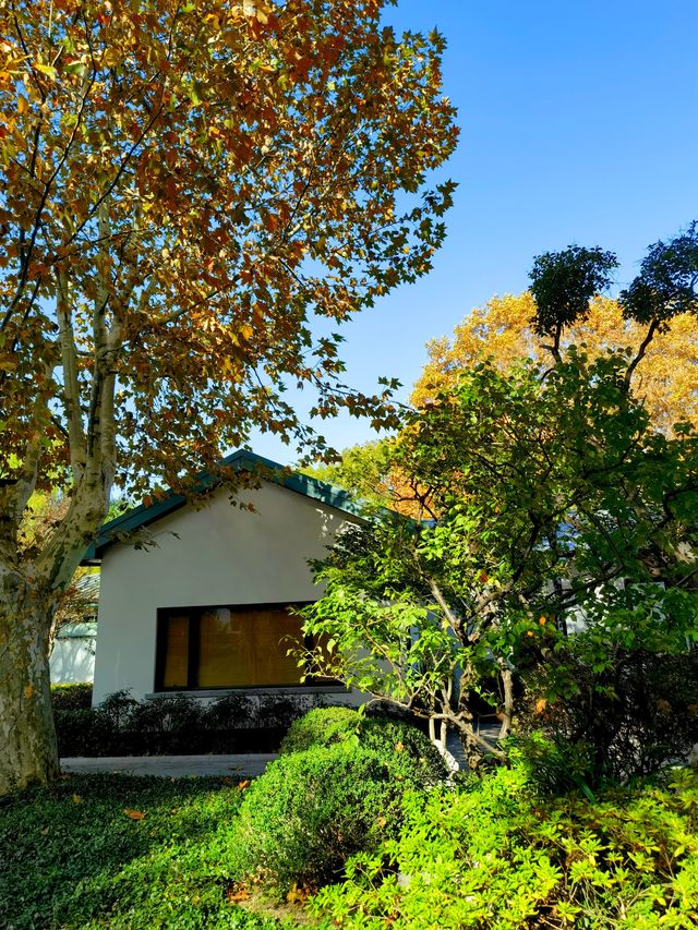 上海楊浦免費賞秋地