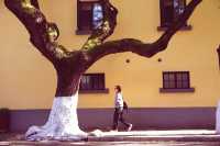 南京三天遊(秋天的尾巴)