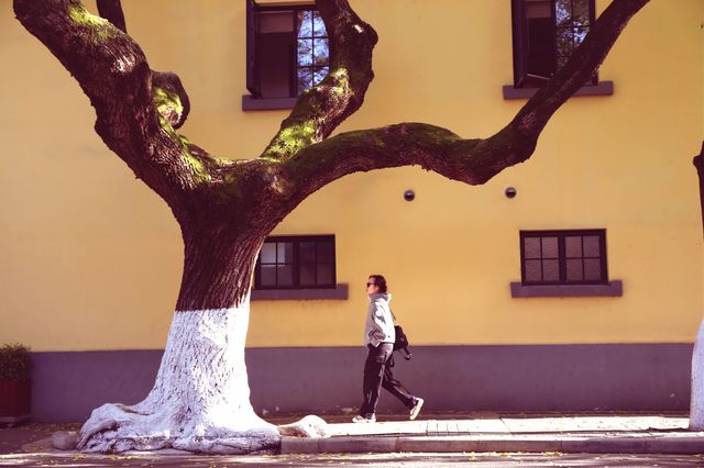 南京三天遊(秋天的尾巴) 南京三天遊(秋天的尾巴)