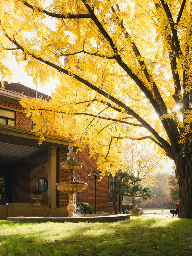 清晨8點,我拍到了樹的呼吸聲! 清晨8點,我拍到了樹的呼吸聲!