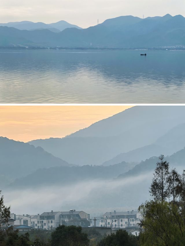 行者遊記|寧波黃金大道東錢湖Zui上鏡銀杏林 行者遊記|寧波黃金大道東錢湖Zui上鏡銀杏林