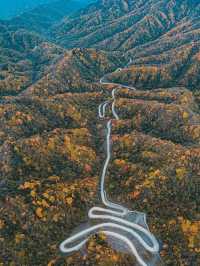 秦嶺帶娃帶父母封神線5天4晚小眾慢遊，躺玩不費媽超治癒