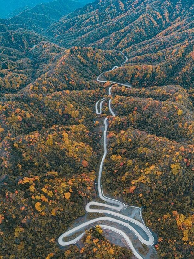 秦嶺帶娃帶父母封神線5天4晚小眾慢遊，躺玩不費媽超治癒