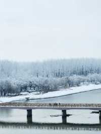 洛陽龍門石窟冬雪攻略雪中佛龕一眼越千年