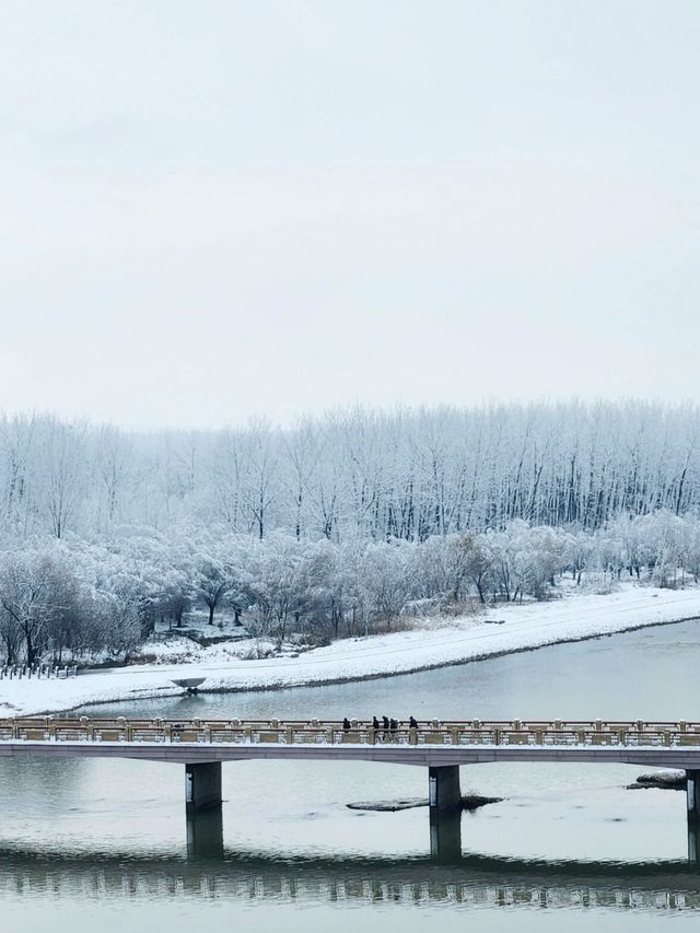 洛陽龍門石窟冬雪攻略雪中佛龕一眼越千年 洛陽龍門石窟冬雪攻略雪中佛龕一眼越千年
