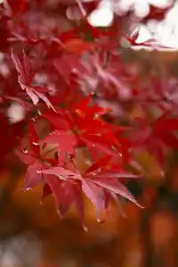 山野童行丨烏龍古道+八都岕一日暴走攻