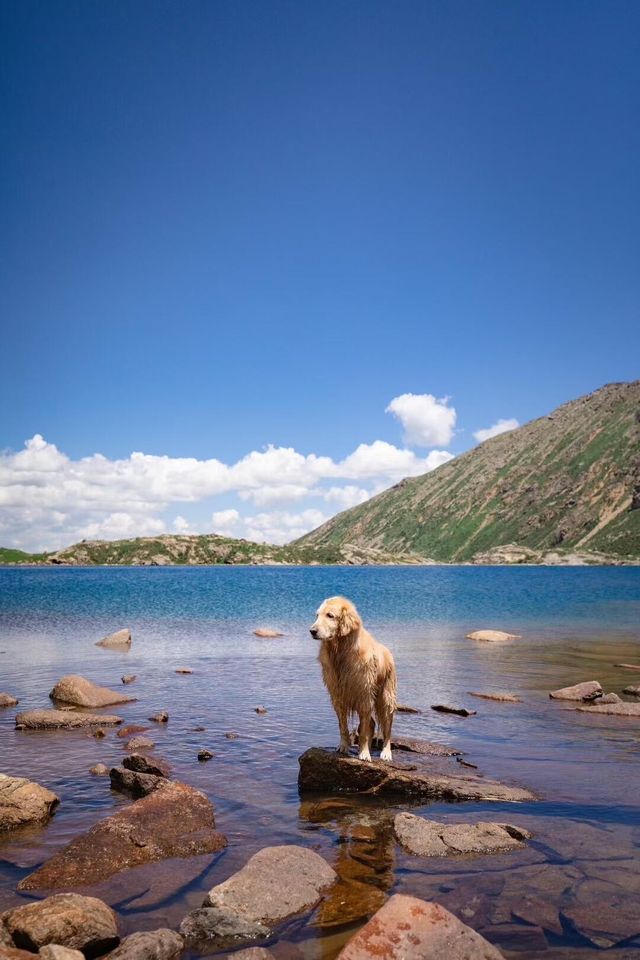 4800米高空神湖美到窒息中土世界真實存在 4800米高空神湖美到窒息中土世界真實存在