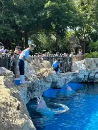 珠海!!!長隆海洋王國攻略吃喝一條龍~