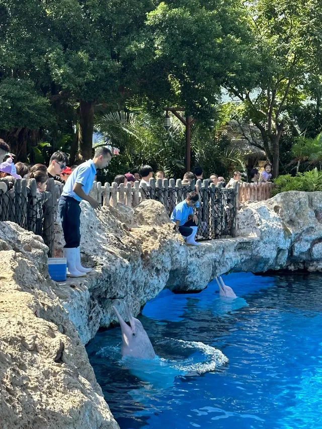 珠海!!!長隆海洋王國攻略吃喝一條龍~ 珠海!!!長隆海洋王國攻略吃喝一條龍~