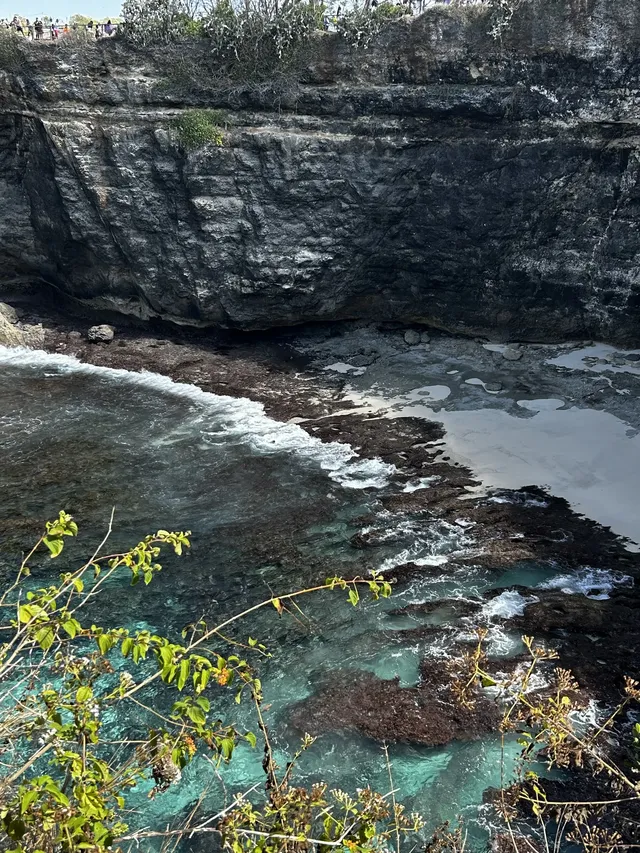 在巴厘島追到了!凌晨五點出海 被狠狠獎賞 在巴厘島追到了!凌晨五點出海 被狠狠獎賞