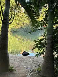 曼聽公園有自己的翡翠湖(附攻略