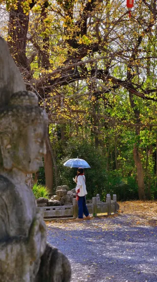 99% of people don’t know this Jiangbei autumn viewing route～