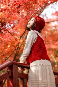 12·1南京棲霞山紅楓進入觀賞期～附路線～