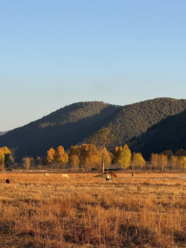 兩次瀘沽湖|寫給想慢下來的人。 兩次瀘沽湖|寫給想慢下來的人。