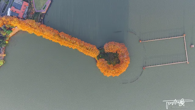 武漢秋天的「金鑰匙」被我找到了！