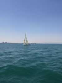 冬天超適合廈門1日遊攻略