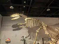 上海自然博物館中國恐龍大展 | 一眼看億年