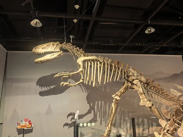 上海自然博物館中國恐龍大展 | 一眼看億年 上海自然博物館中國恐龍大展 | 一眼看億年