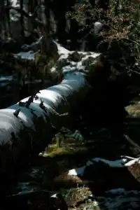 獨自旅行| 7天6晚,在雲南