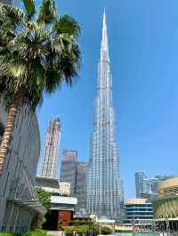 冬天去阿聯酋包車遊爽翻啦