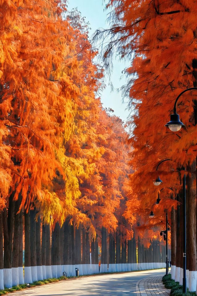 武漢元旦瘋玩指南本地人私藏的東湖跨年清單曝光