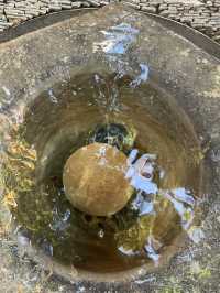 歷峰雙墅藝術探秘