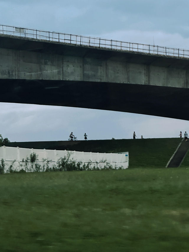 佛山小新疆治癒遊 佛山小新疆治癒遊