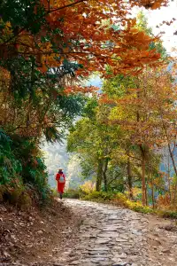 台州賞秋封神4條徒步路線建議收藏~