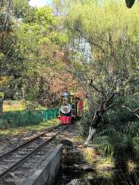 秋天的共青森林公園彷彿是一幅油畫