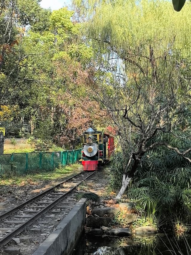 秋天的共青森林公園彷彿是一幅油畫 秋天的共青森林公園彷彿是一幅油畫